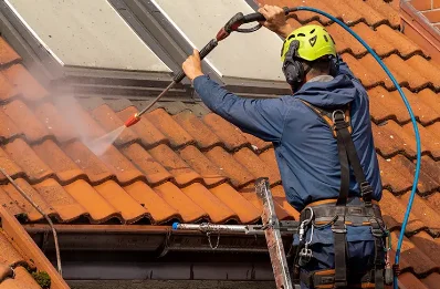Démoussage et hydrofuge de toiture à Lacenas